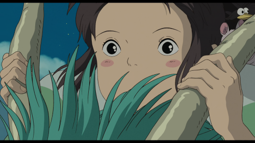 vlcsnap-2025-03-11-01h42m29s880.png